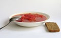 Russian - Ukrainian borsch and black bread Royalty Free Stock Photo