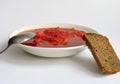 Russian - Ukrainian borsch and black bread Royalty Free Stock Photo