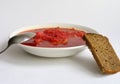 Russian - Ukrainian borsch and black bread