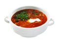 Russian and Ukrainian Cuisine - Soup Solyanka Royalty Free Stock Photo