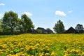 Russian village in summer. a field with flowers in front of deserted houses. natural rural idyll Royalty Free Stock Photo