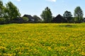 Russian village in summer. a field with flowers in front of deserted houses. natural rural idyll Royalty Free Stock Photo