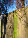 Russian village. Wooden fence.