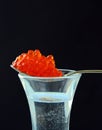 Russian vodka with a dollop of red caviar Royalty Free Stock Photo