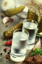 Russian vodka with traditional black bread