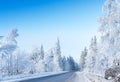 Russian winter forest road in snow and ice Royalty Free Stock Photo