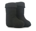 Russian winter boot Royalty Free Stock Photo
