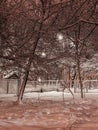 Russian winter is characterized by snowfalls and hard frosts