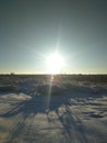 Russian winter, forest, snow, hunting, cold, landscape. Royalty Free Stock Photo