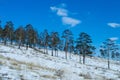 Russian winter landscape Royalty Free Stock Photo
