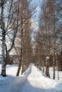Russian winter seven with birches Royalty Free Stock Photo
