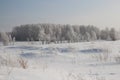 Russian winter Siberia forest snow trees snow covered roads snow frost birch snow-white trees ski tracks in the snow Royalty Free Stock Photo