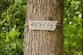 The Russian Word Love On A Wooden Plate On A Tree Trunk In A City Park