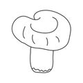 Russula mushroom in doodle style.