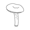 Russula mushroom in doodle style