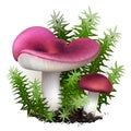 Russula vector mushrooms