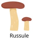 Russule icon. Brown cap fungus. Forest mushroom