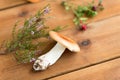 Russule mushroom with heather on wooden background