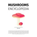 Russule mushroom illustration Royalty Free Stock Photo