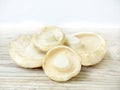 Russule. White edible wild mushrooms on light wooden background.