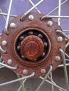 Rust bearing Royalty Free Stock Photo