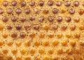 ÃÂ¡rust of bread texture background. Bakery concept. Close up, macro photo Royalty Free Stock Photo