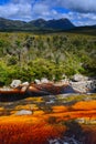 Mineral waters of Minas Gerais