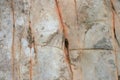 RUST COLOURED CRACKS IN A WHITE ROCK