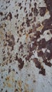 Rust, corrode, oxidise, decay, texture