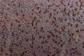 Rust covered steel close up Royalty Free Stock Photo