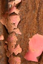 Rust detail Royalty Free Stock Photo