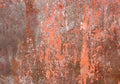 Rust iron metal surface. Texture and background Royalty Free Stock Photo