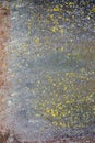 Rust and moss on the metal surface. Natural texture background Royalty Free Stock Photo