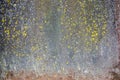 Rust and moss on the metal surface. Natural texture background Royalty Free Stock Photo