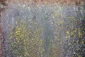Rust and moss on the metal surface. Natural texture background Royalty Free Stock Photo