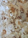 Rust prints from nuts and screws. Texture in brown color