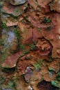 Rust stained flaky paint Royalty Free Stock Photo