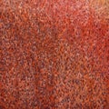 Rust texture copper