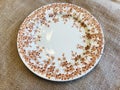 Rust and White Ivy Leaf Vintage China Plate