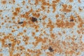 Rust on a white painted metal sheet, background. Royalty Free Stock Photo