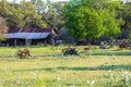 Rusted antique farm equipment in the Texas hill country