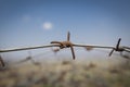 Rusted Barb Wire Royalty Free Stock Photo