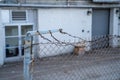 Rusted barbed wire on broken fence in front of warehouse Royalty Free Stock Photo