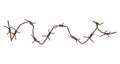 Rusted barbed wire isolated on white background Royalty Free Stock Photo