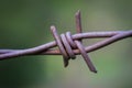 Rusted Barbs of Wire Fence
