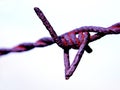 Rusted barbwire Royalty Free Stock Photo