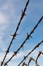 Rusted barbed wire fence Royalty Free Stock Photo