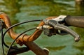 Rusted Bicycle Handlebars