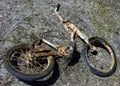 Old ruined rusted bike