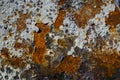 Rusted blistered paint textured background